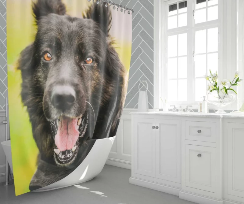 German Shepherd Thoughtful Gaze Canine Contemplation Shower Curtain 1