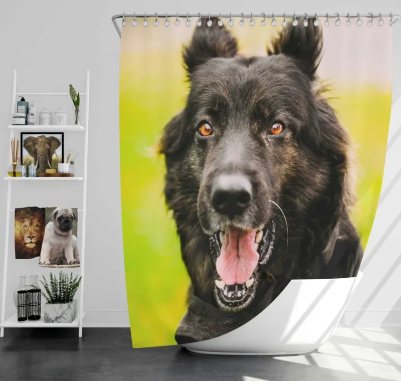 German Shepherd Thoughtful Gaze Canine Contemplation Shower Curtain