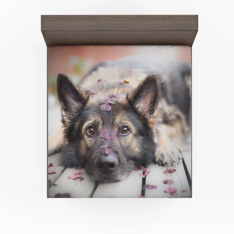 German Shepherd Thoughtful Stare Fitted Sheet 1