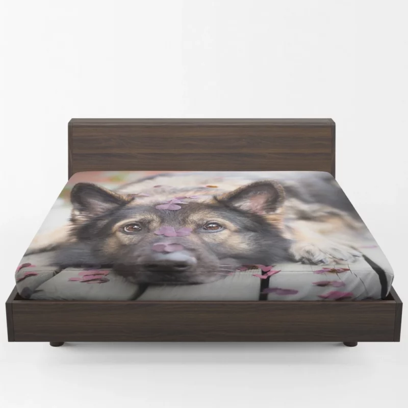 German Shepherd Thoughtful Stare Fitted Sheet