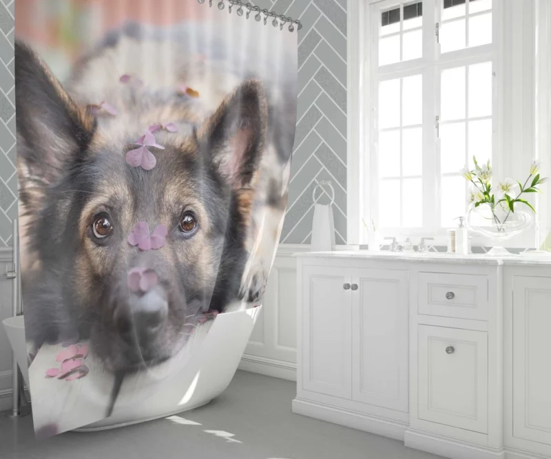 German Shepherd Thoughtful Stare Shower Curtain 1