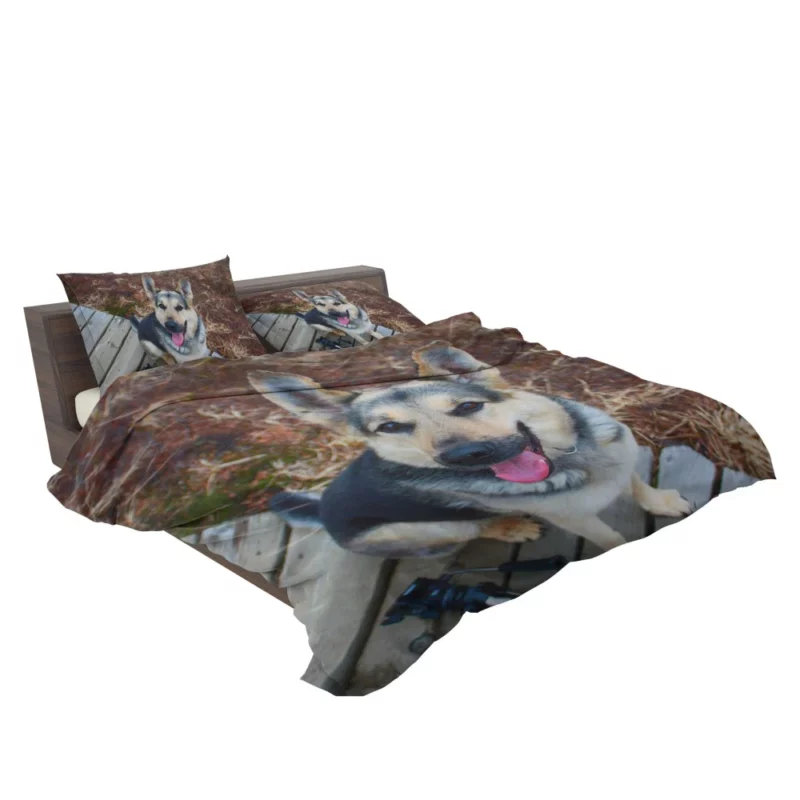 German Shepherd Vigil Canine Devotion Bedding Set 2