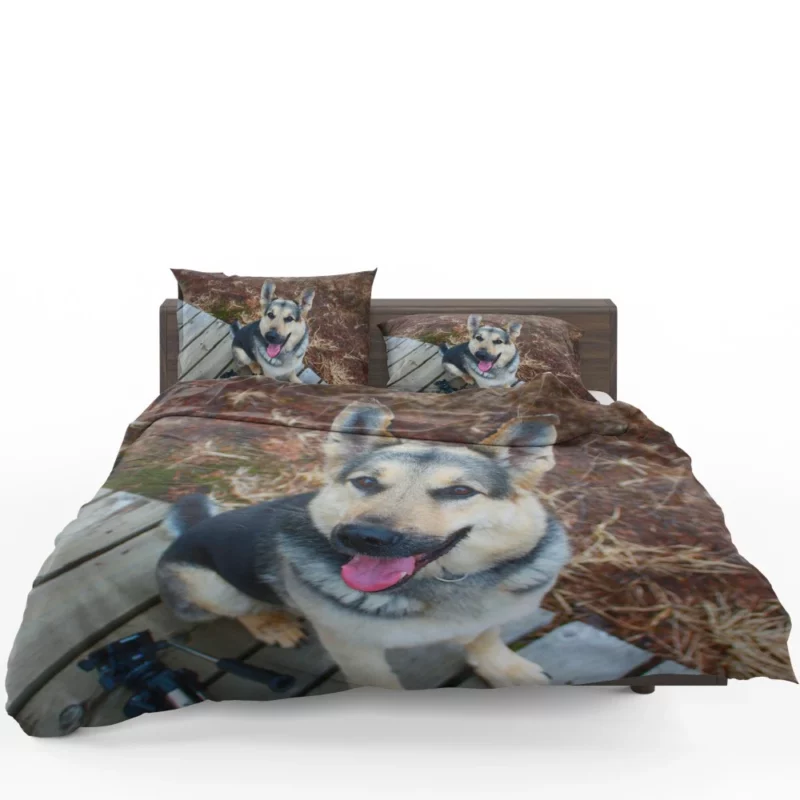 German Shepherd Vigil Canine Devotion Bedding Set