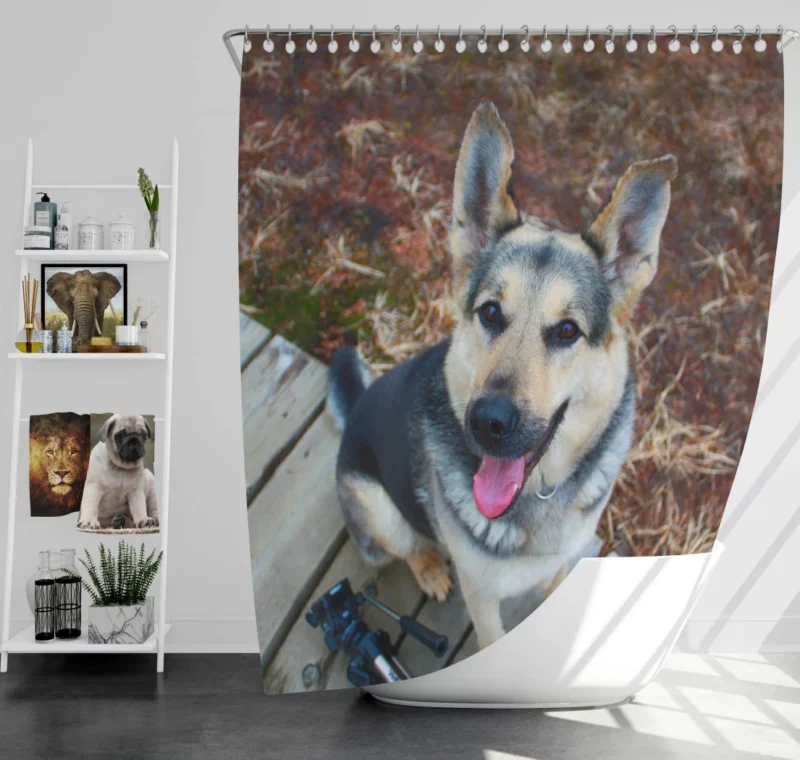 German Shepherd Vigil Canine Devotion Shower Curtain