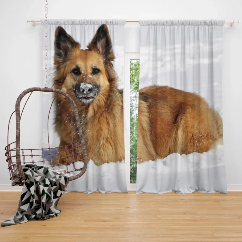 German Shepherd Winter Wonderland Curtain