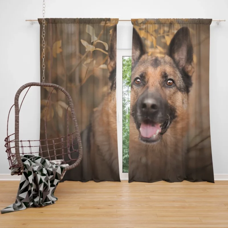 German Shepherd Woodsy Adventure Curtain