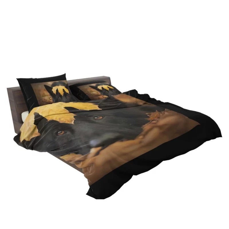 German Shepherd in Autumn Glow Bedding Set 2