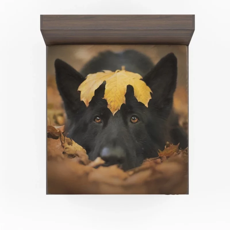 German Shepherd in Autumn Glow Fitted Sheet 1