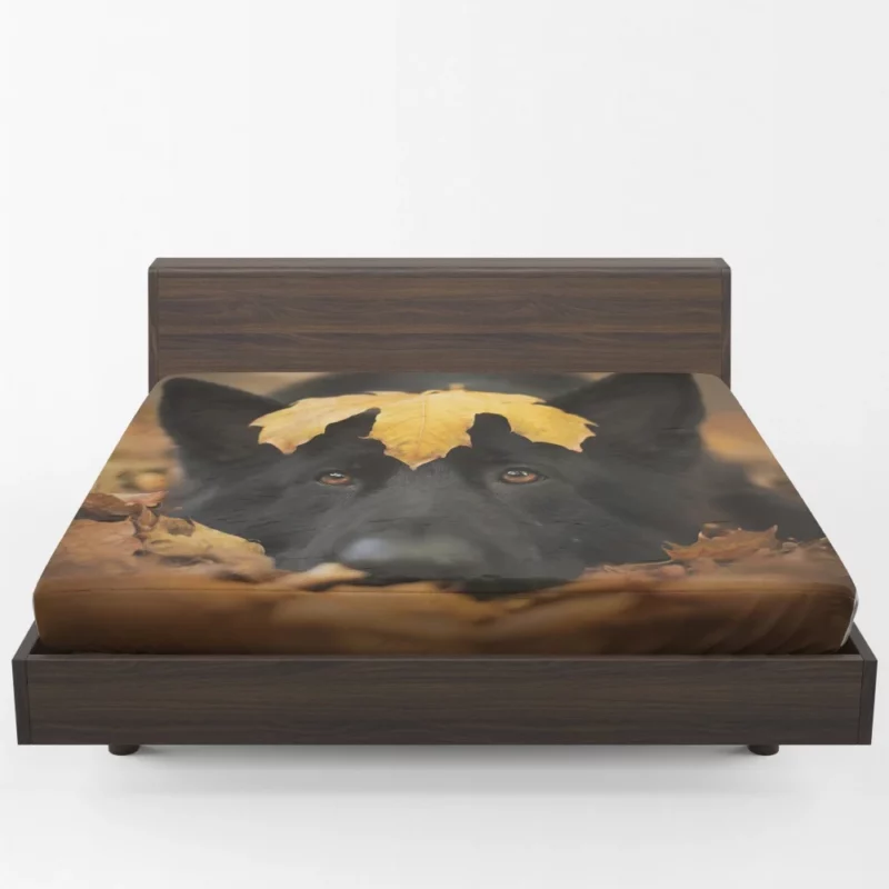 German Shepherd in Autumn Glow Fitted Sheet