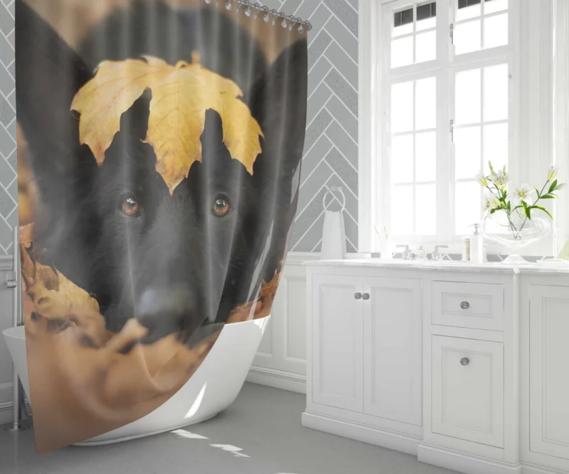 German Shepherd in Autumn Glow Shower Curtain 1