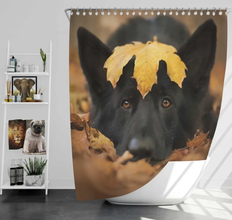 German Shepherd in Autumn Glow Shower Curtain