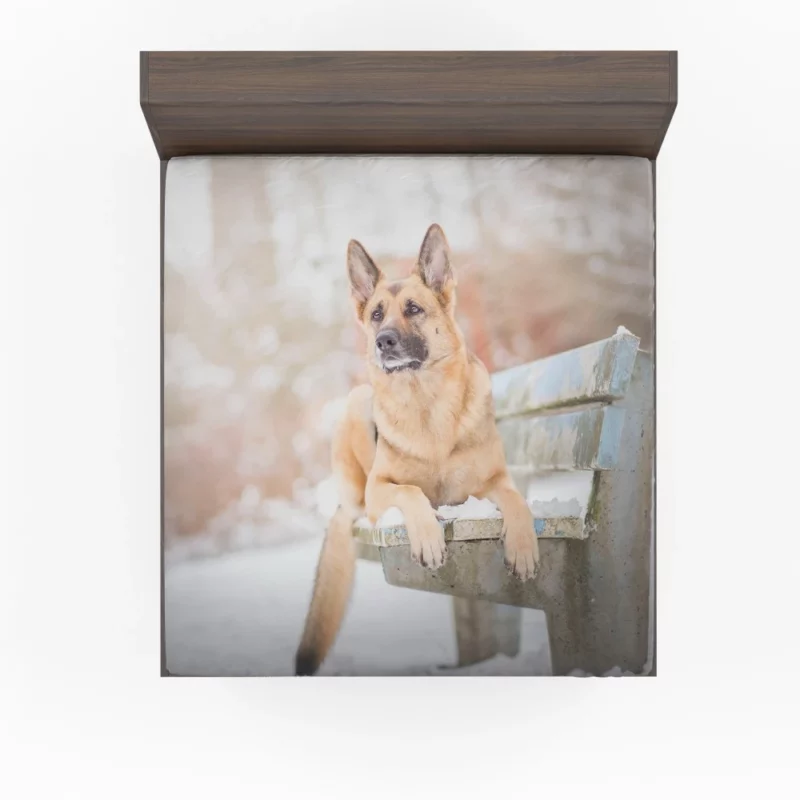 German Shepherd in Depth of Field Fitted Sheet 1