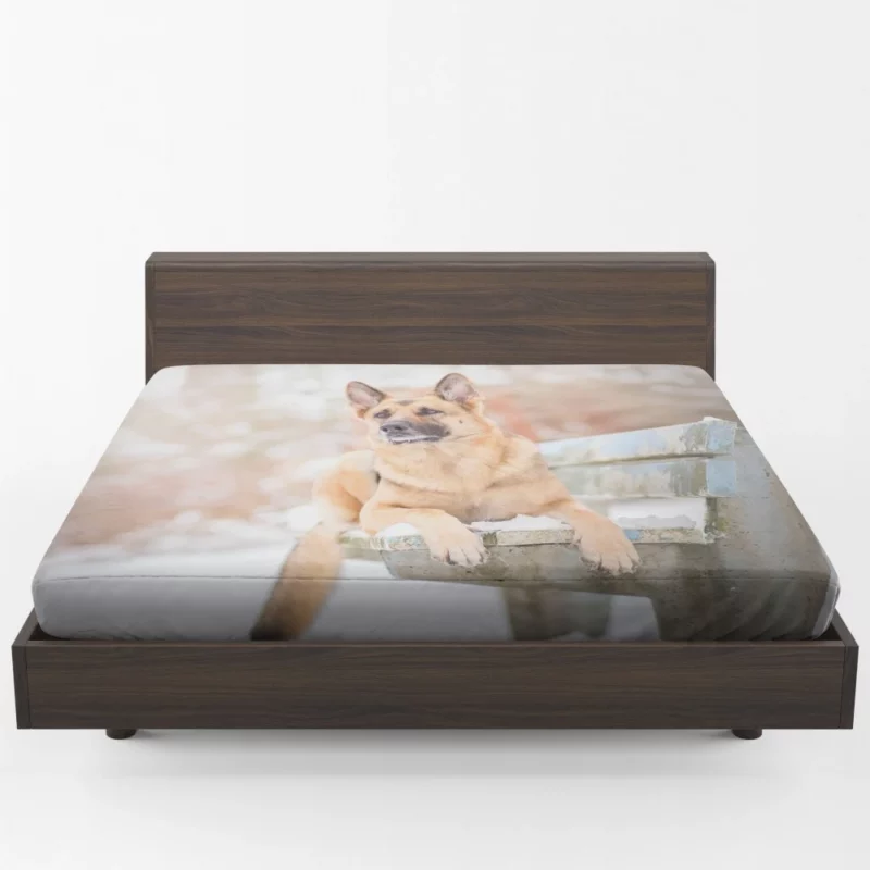 German Shepherd in Depth of Field Fitted Sheet