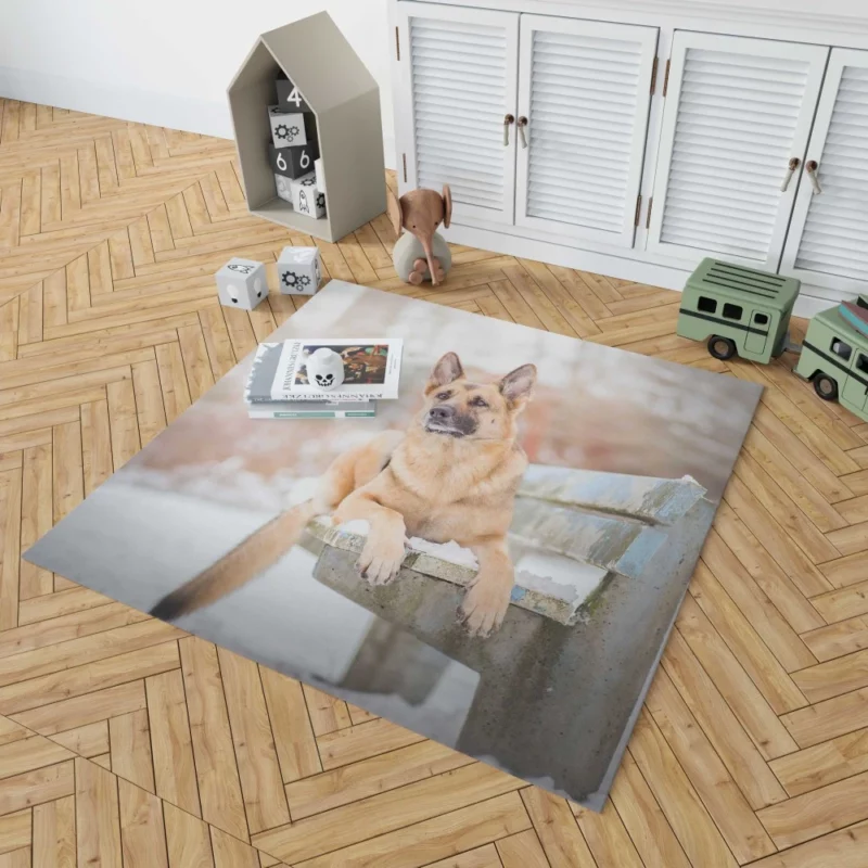 German Shepherd in Depth of Field Rug 1