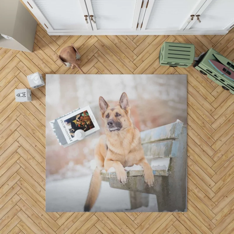 German Shepherd in Depth of Field Rug