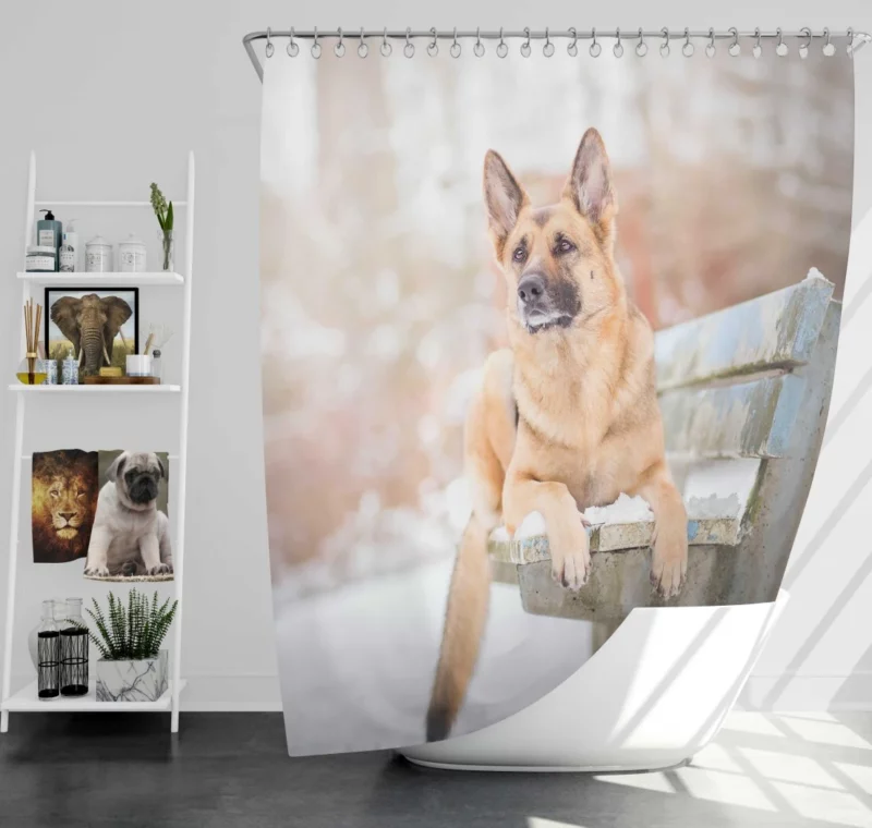 German Shepherd in Depth of Field Shower Curtain