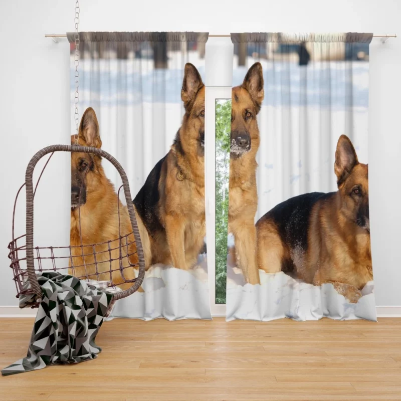 German Shepherd in Snow Winter Beauty Curtain