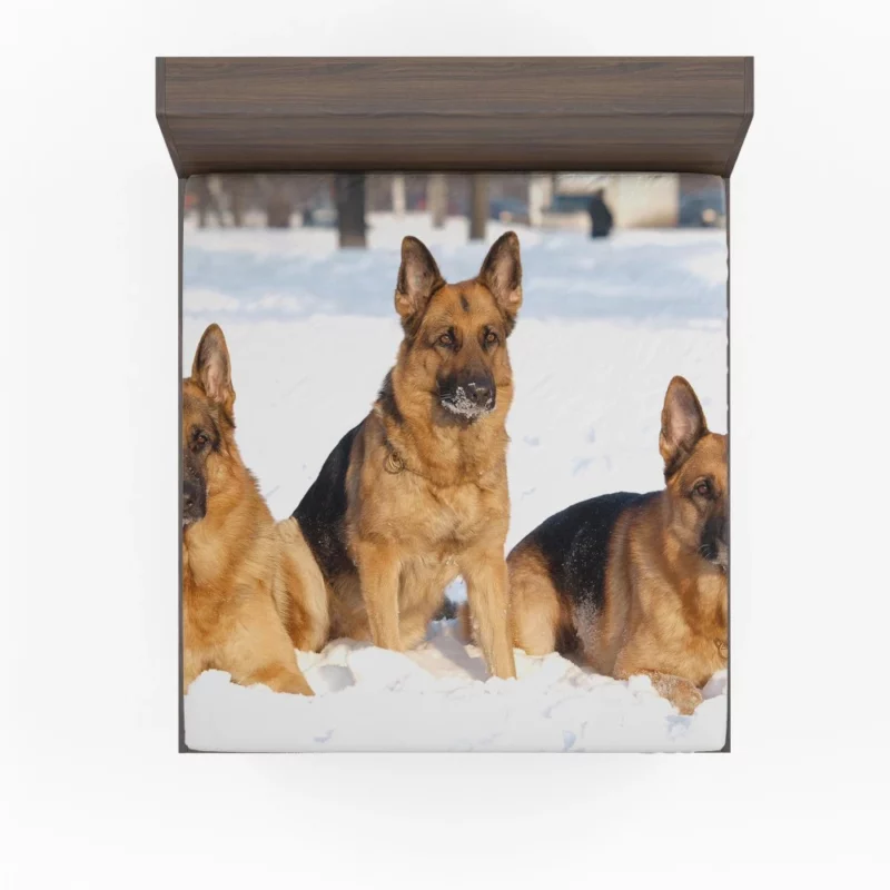 German Shepherd in Snow Winter Beauty Fitted Sheet 1