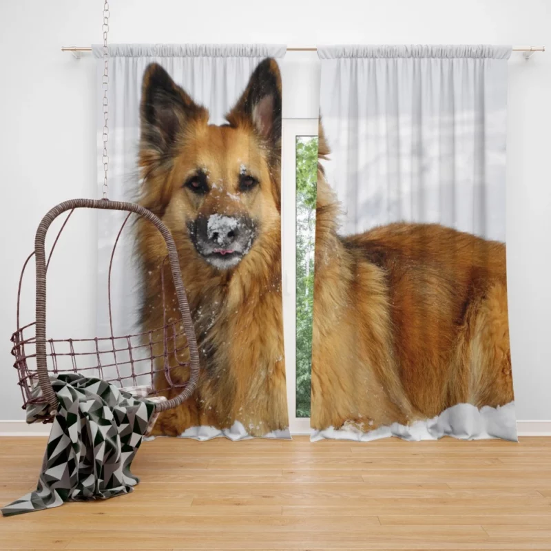 German Shepherd in Snow Winter Play Curtain