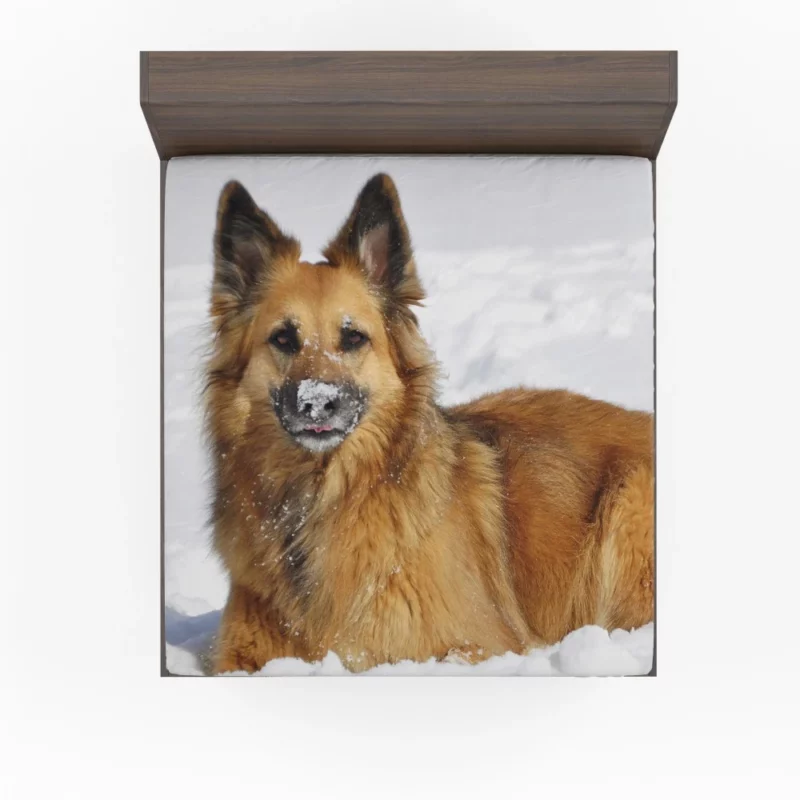 German Shepherd in Snow Winter Play Fitted Sheet 1