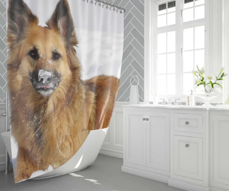 German Shepherd in Snow Winter Play Shower Curtain 1