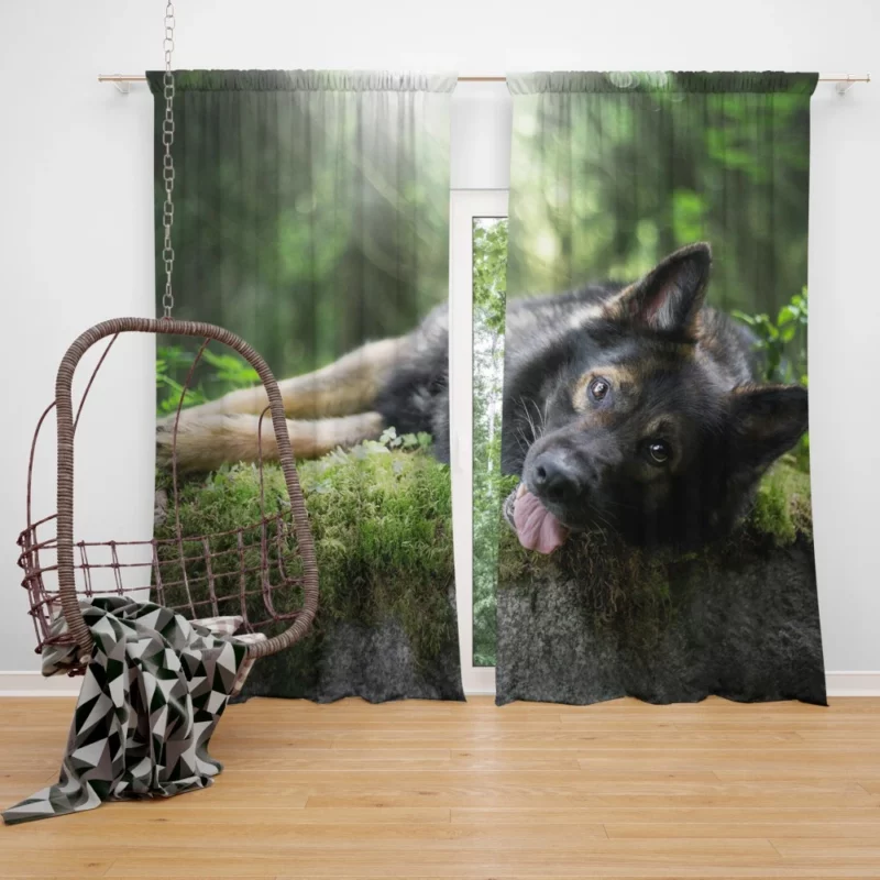 German Shepherd in Sunny Serenity Curtain