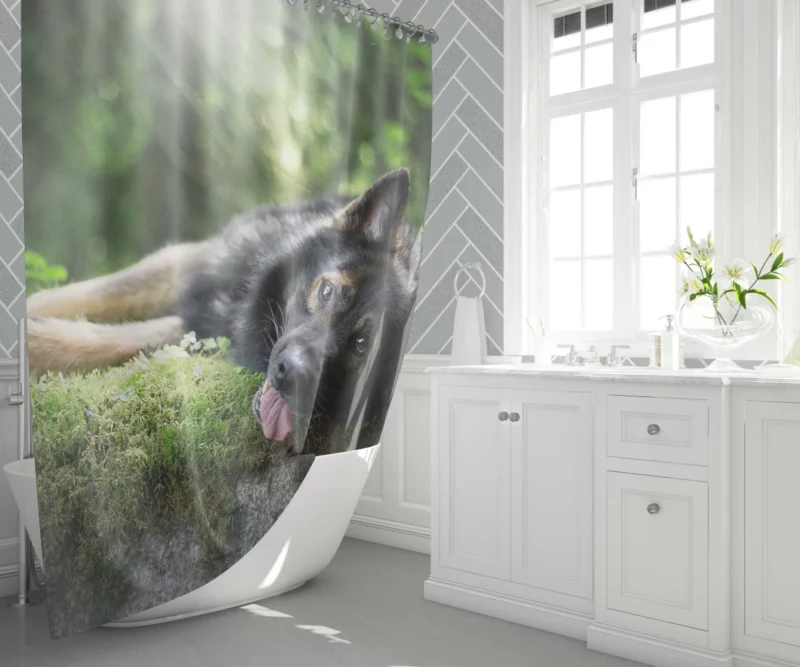 German Shepherd in Sunny Serenity Shower Curtain 1