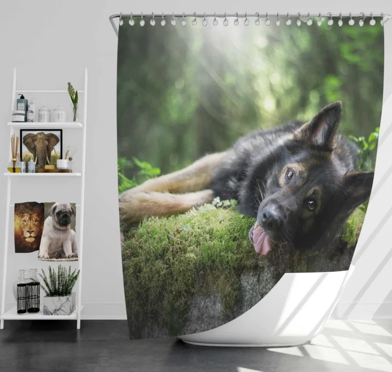 German Shepherd in Sunny Serenity Shower Curtain