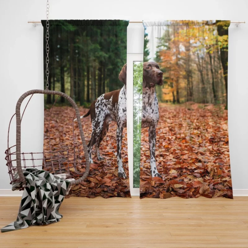 German Shorthaired Pointer Classic Elegance Curtain