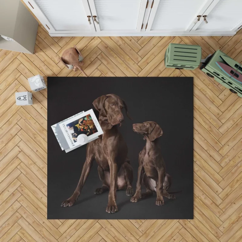 German Shorthaired Pointer Puppy Playful Charm Rug