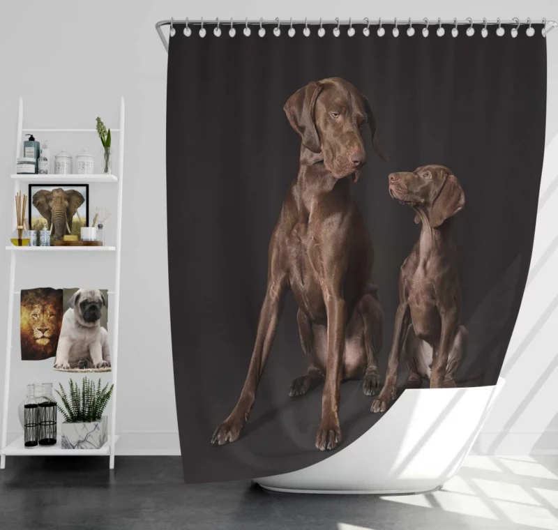 German Shorthaired Pointer Puppy Playful Charm Shower Curtain