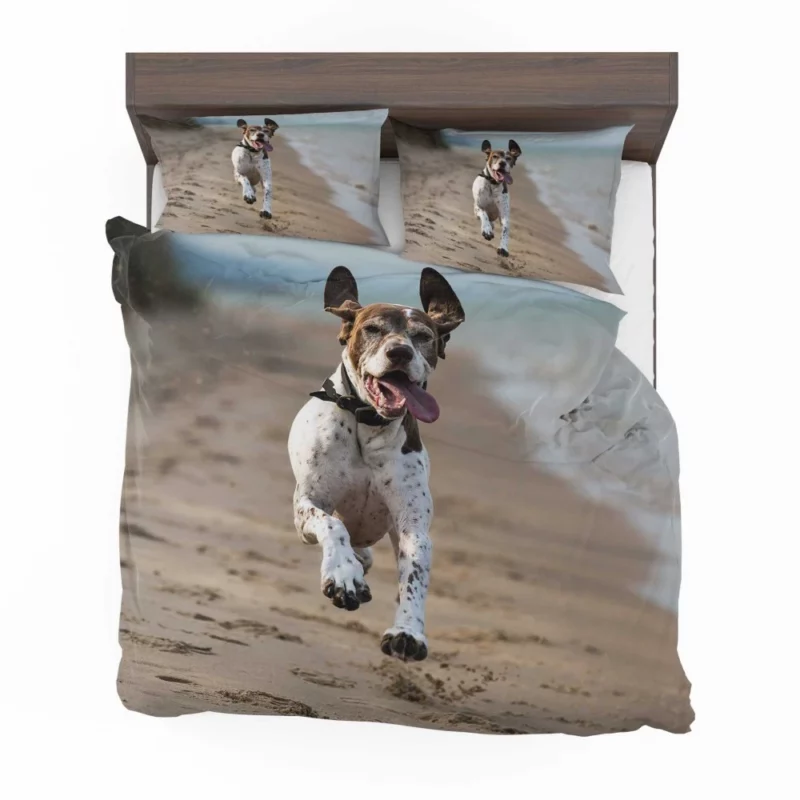 German Shorthaired Pointer on Sand Coastal Charm Bedding Set 1