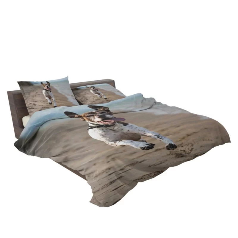 German Shorthaired Pointer on Sand Coastal Charm Bedding Set 2