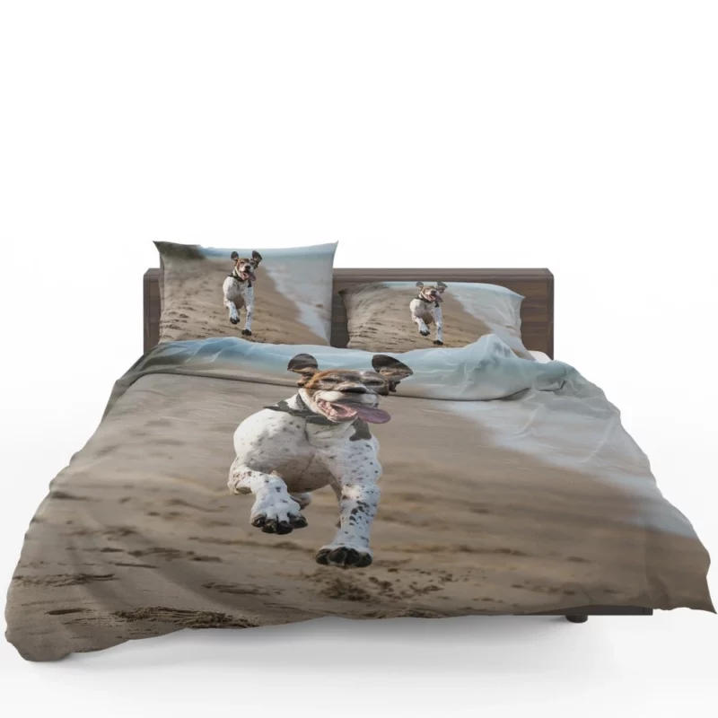 German Shorthaired Pointer on Sand Coastal Charm Bedding Set