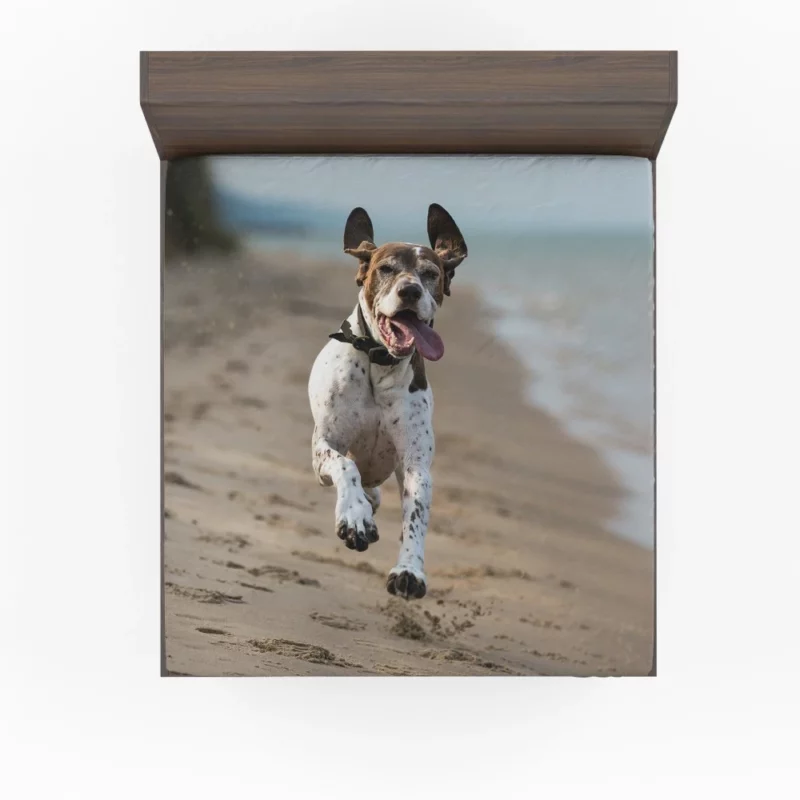 German Shorthaired Pointer on Sand Coastal Charm Fitted Sheet 1