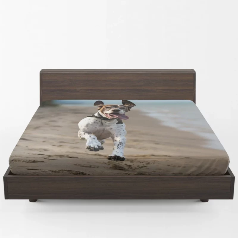 German Shorthaired Pointer on Sand Coastal Charm Fitted Sheet