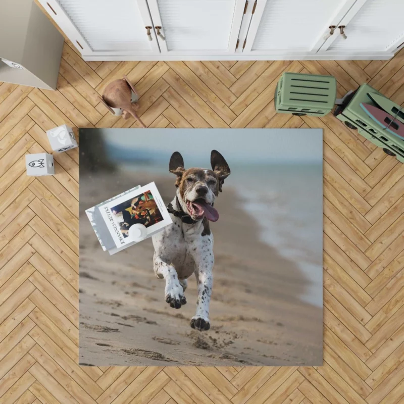 German Shorthaired Pointer on Sand Coastal Charm Rug