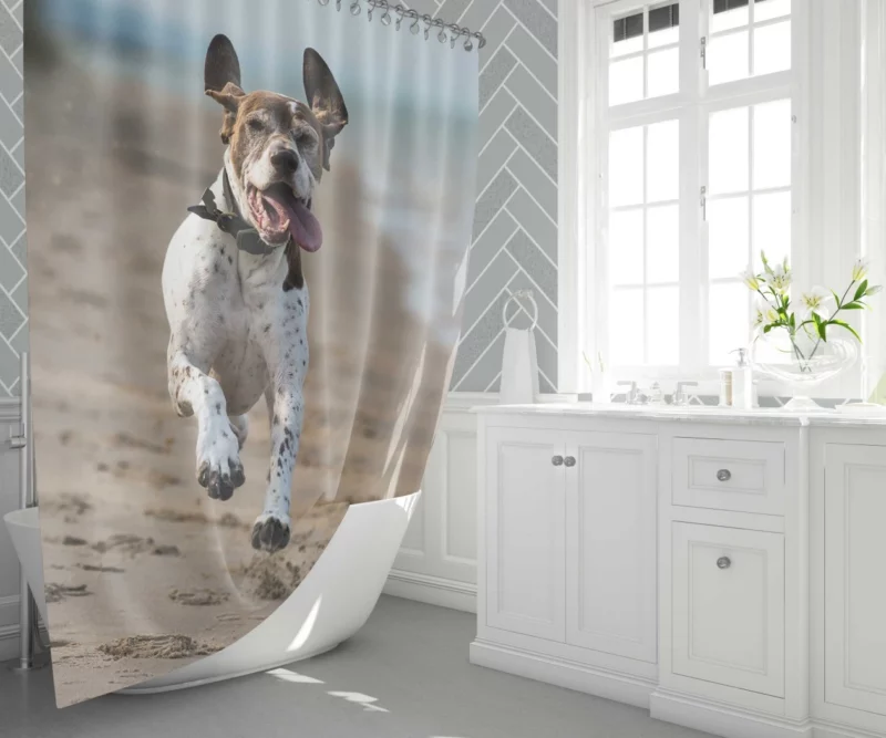 German Shorthaired Pointer on Sand Coastal Charm Shower Curtain 1