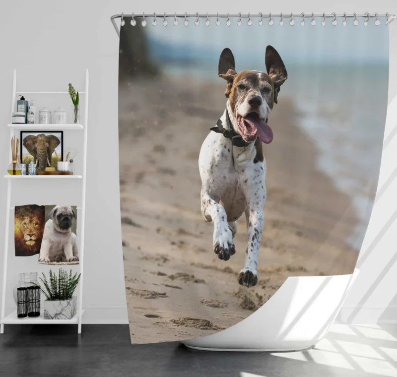 German Shorthaired Pointer on Sand Coastal Charm Shower Curtain