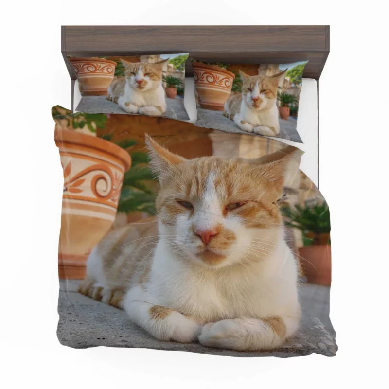 Ginger Cat by Monastery Tranquil Beauty Bedding Set 1