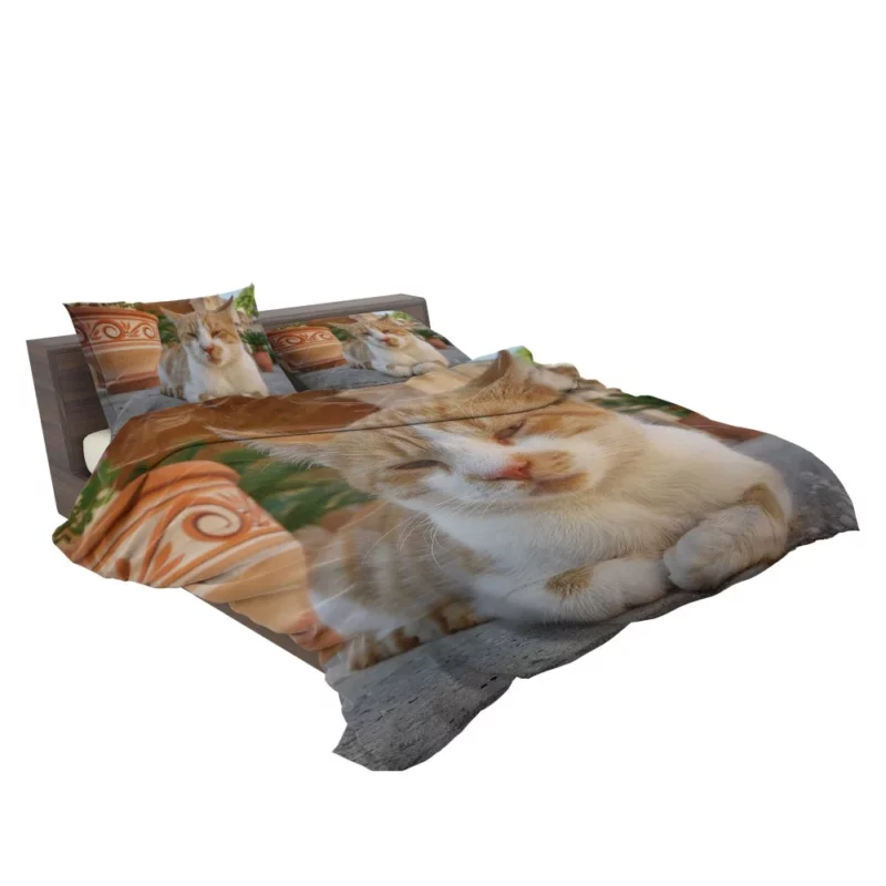 Ginger Cat by Monastery Tranquil Beauty Bedding Set 2