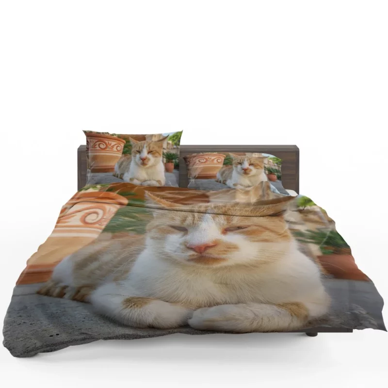 Ginger Cat by Monastery Tranquil Beauty Bedding Set