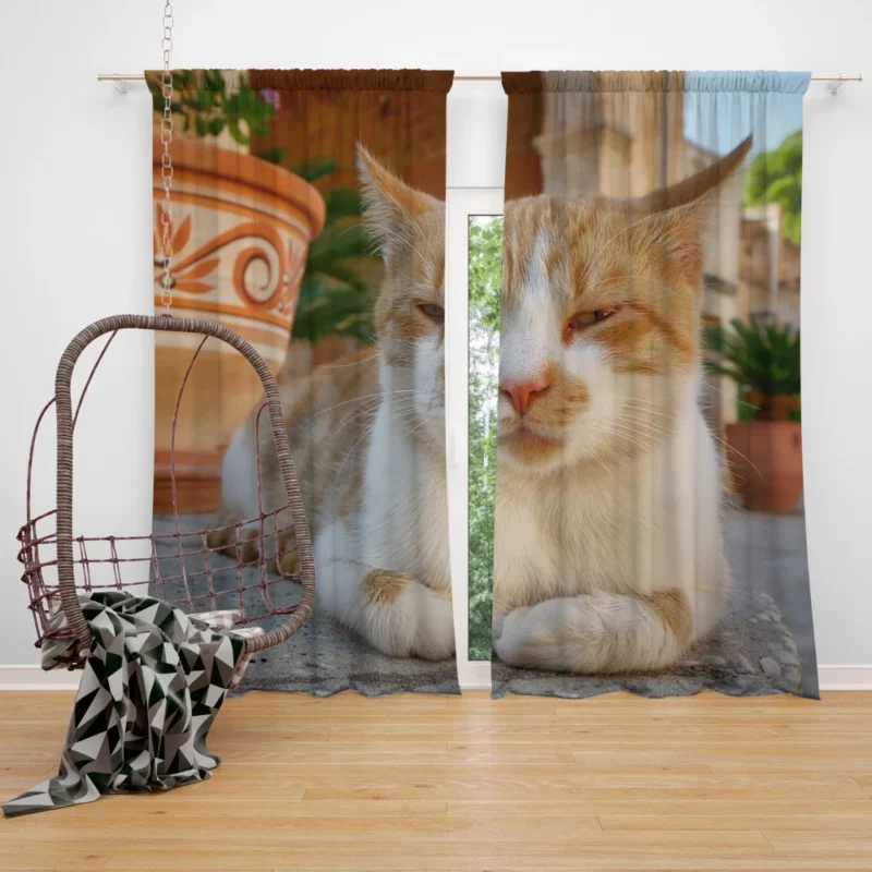 Ginger Cat by Monastery Tranquil Beauty Curtain