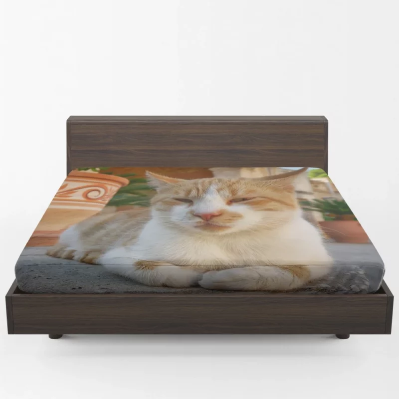 Ginger Cat by Monastery Tranquil Beauty Fitted Sheet