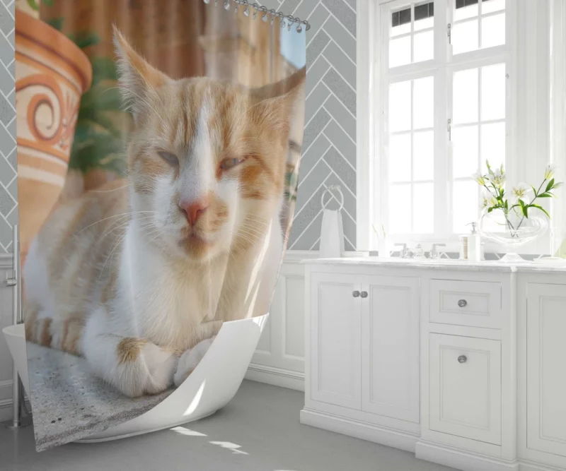 Ginger Cat by Monastery Tranquil Beauty Shower Curtain 1