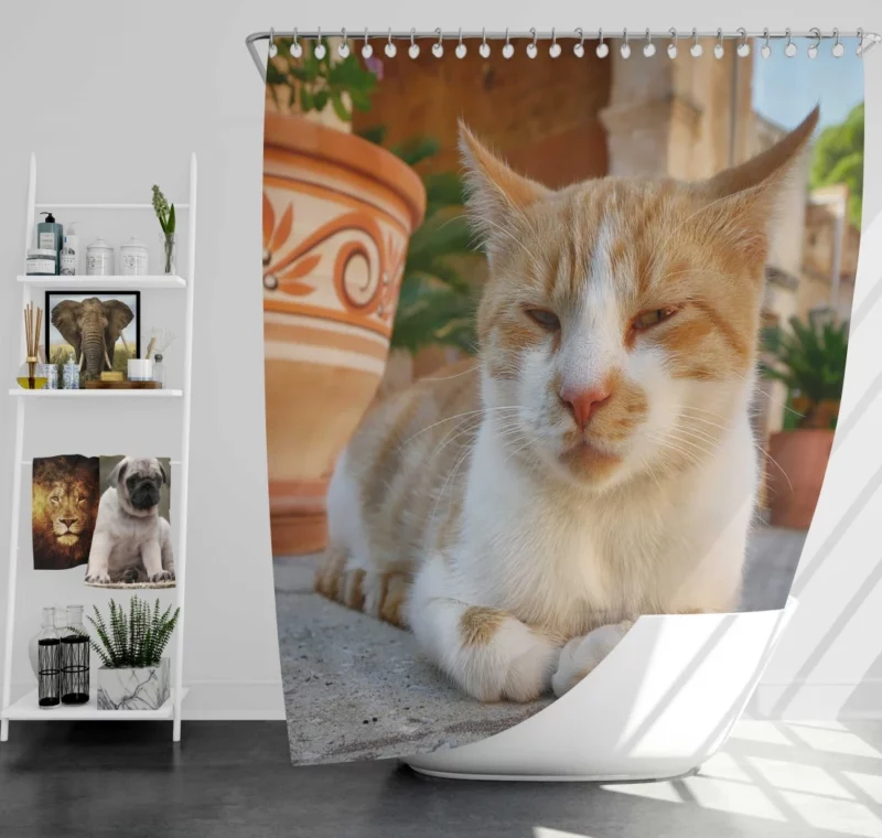 Ginger Cat by Monastery Tranquil Beauty Shower Curtain