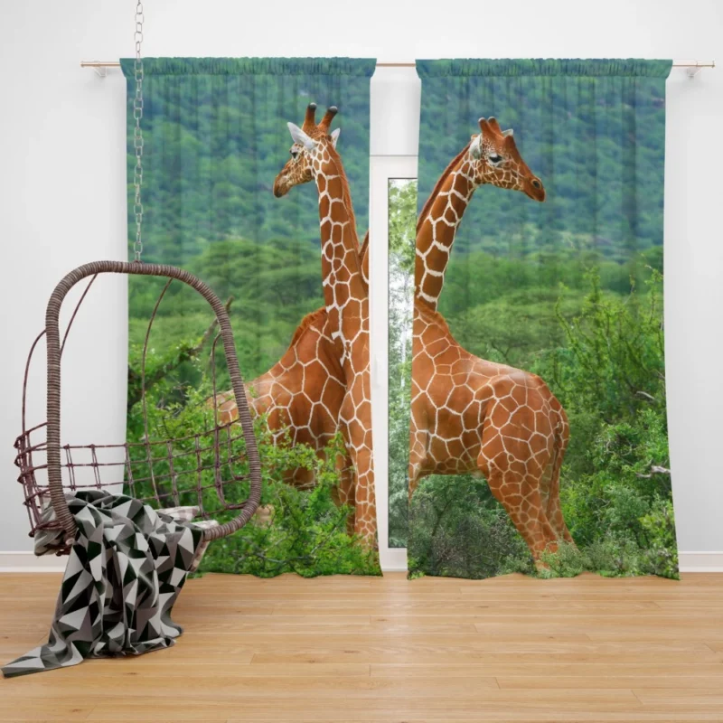 Giraffe Elegance Towering Beauty Curtain