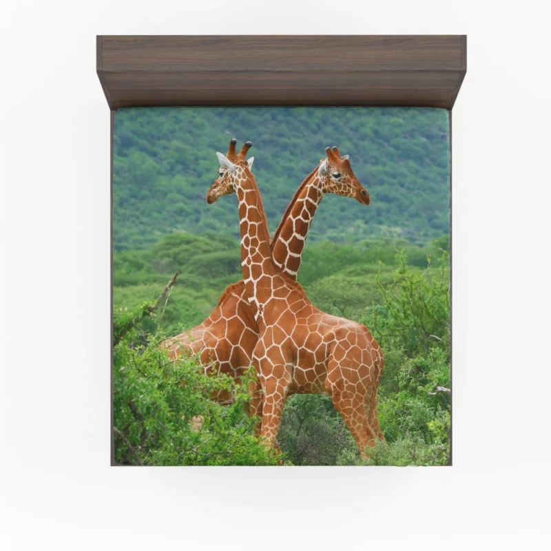 Giraffe Elegance Towering Beauty Fitted Sheet 1