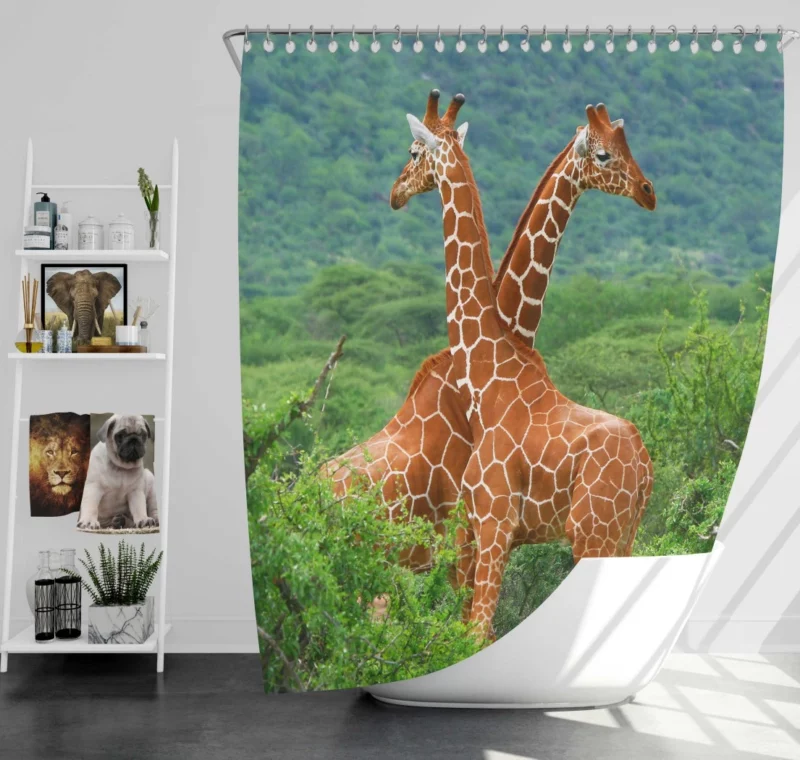 Giraffe Elegance Towering Beauty Shower Curtain