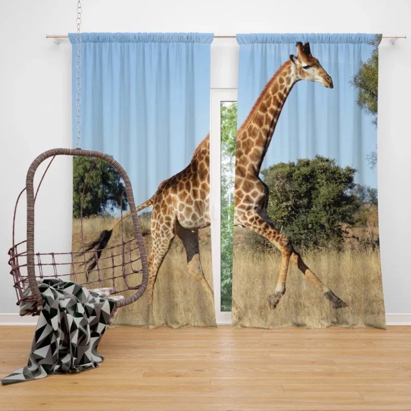 Giraffe Grace Nature Marvel Curtain